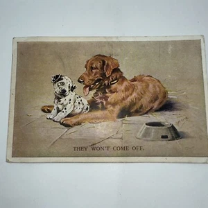 1950 Litografía Postal Golden Retriever Perros Dálmatas Equipo Mabel de San Valentín - Imagen 1 de 6