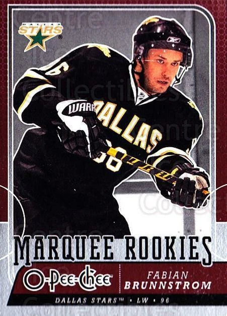 2008-09 O-Pee-chee #761 Fabian Brunnstrom - Image 1 of 1