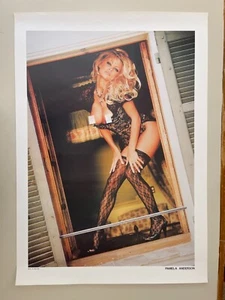PÓSTER DE PAMELA ANDERSON, RARO AÑOS 90, ¡ÚLTIMO!! - Imagen 1 de 7
