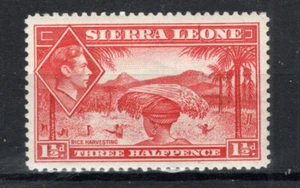 Sierra Leone 1938-44 1 1/2d Scarlet Rice Harvesting SG 190 MVLH - Bild 1 von 1