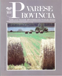 Varese Provincia. Pubblicazione bimestrale - 3/4 1991 - Foto 1 di 1