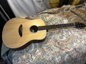 Breedlove Passport D200 Acoustic Guitar - Picture 1 of 12