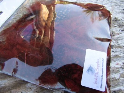 Irish Fly Supplies Guinea Fowl Feathers- Fiery Brown