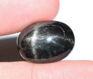 Natural Black Star 15.10 Ct Loose Gemstone From Sri Lanka For Ring Use  - Picture 1 of 5