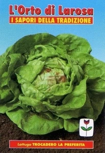 1000 Semi/Seeds LATTUGA Trocadero la Preferita - Foto 1 di 1