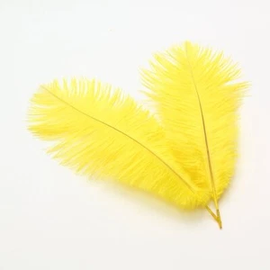 6-8inch15-20cm Ostrich Feathers Plume for Wedding Centerpieces Home Decoratio... - Picture 1 of 2