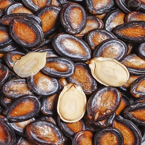 LICORICE WATERMELON SEEDS ROASTED TASTY-BULK VALUE BAG LIMITED PICK YOUR BAG NOW - Picture 1 of 5