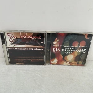 BUNDLE OF 2 GIN BLOSSOMS CD’S VGC - Bild 1 von 7