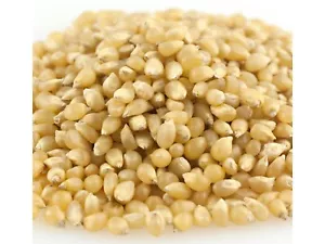 Popcorn bianchi medi sfusi 10 libbre popcorn noccioli spedizione gratuita - Foto 1 di 1