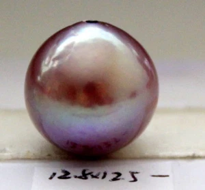 SPECIAL COLOR AAAAA 12.8×12.5MM JAPANESE KASUMI PEARL HALF HOLE DRILLED - Picture 1 of 1