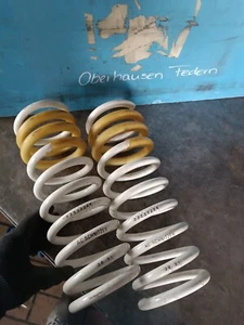 2x Ersatzfeder Federn Tieferlegungsfedern AC Schnitzer 33533224 - Bild 1 von 2