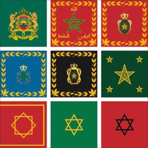 Morocco Flag Royal Armed Forces Ground Naval Gendarmerie Guard Battle Alaouite - Picture 1 of 12