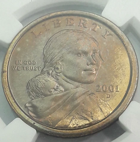 2001-D SACAGAWEA ONE DOLLAR SLABBED BU WONDERFUL BOLD TONED COLOR UNC (MR) Cover