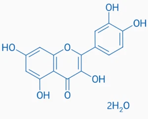 Quercetin Dihydrate | Flavonoid for Antioxidant R&D | CAS: 6151-25-3  |  +95.0% - Picture 1 of 2