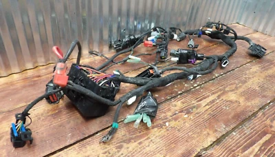 2022 CF MOTO 300NK / CF300 MAIN WIRING HARNESS 9DR7-150100 - Image 1 of 4