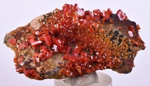 6cm VANADINITA HOLANDA CRISTAL MIBLADEN MARRUECOS MINERAL ESPÉCIMEN WB34 - Imagen 1 de 10