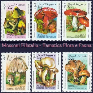 Somalia - 1998 - Funghi - serie completa - nuova (MNH) - Picture 1 of 1