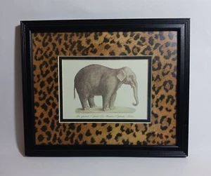 Der Afratische Elephant (Das Manchen) Elephantus Indicus 11" x 9.5 " PRINT - Picture 1 of 2