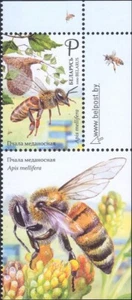 Belarus 2020 Honey Bees/Insects/Nature/Conservation/Environment 1v + lbl n46407b - Picture 1 of 1