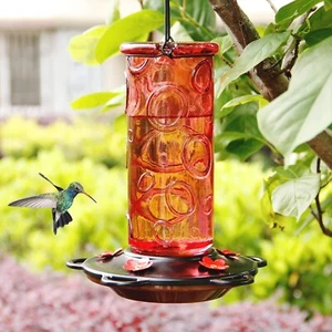 28 oz Glass Hummingbird Feeders for Outdoors Wild Bird Feeder with 5 Feeding - Picture 1 of 4