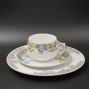 Antique Royal Bavarian China Hutschenreuther Selb Bread Plate Tea Cup Vernon UC* - Picture 1 of 14