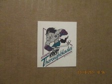 AHL Kentucky Thoroughblades Vintage Defunct Team Logo Hockey Sticker