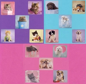 15 Perros y gatos Rachael Hale surtido - pegatinas grandes - cachorros, gatitos - Imagen 1 de 4
