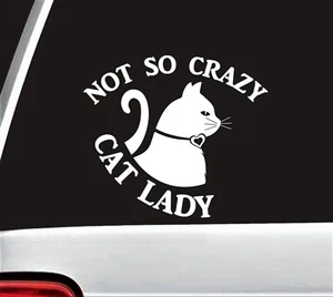 Calcomanía pegatina gato dama no tan loca para ventana de coche | Regalos gato dama | F1003 - Imagen 1 de 3