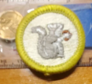 BSA Mamal Study Merit Badge, 1985-current, plastic back - Picture 1 of 2