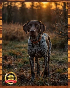 Puntero alemán de pelo corto - La caza - Patos ilimitados - Letrero de metal 11 x 14 - Imagen 1 de 4