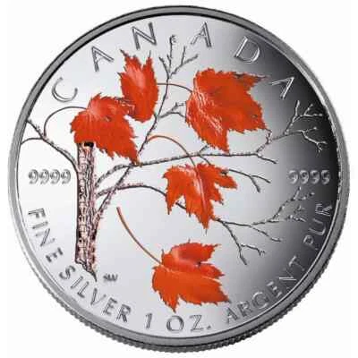 2004 Canada $5 Coloured Maple Leaf: Winter Pure Silver Coin COA Box  .999 1OZ - Image 1 of 2