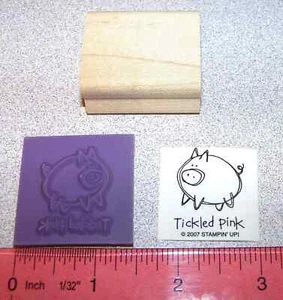 Cerdo Cosquillas Rosa Diciendo de Muy Punny Nuevo Sello de Goma Sin Montar Envío Gratis - Imagen 1 de 2