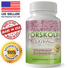 Forskolin Pure Extract Max Results 100% Capsules Diet Pill Softgels Burn Free 