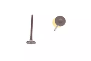 Engine Exhaust Valve-DOHC, Eng Code: QR25DE, 16 Valves DNJ EV638 - Picture 1 of 1