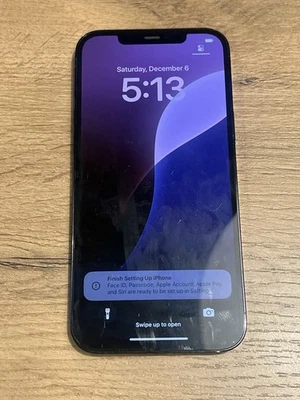 iPhone 12 Pro Max 256GB (Unlocked) - CRACKED BACK/CRACKED LENS - Image 1 of 4