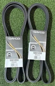 (2 Pack of Belts) Dayco 5081059 Poly Rib Belt Gold Brand New!! - Picture 1 of 2