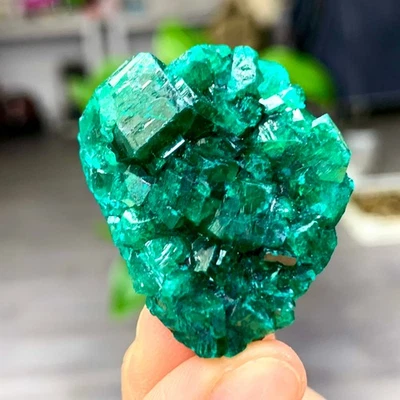 22G Natural green dioptase with malachite gemstone cluster mineral specimen - Image 1 of 4