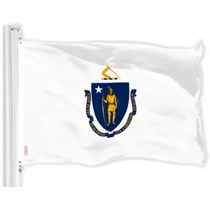 G128 Massachusetts Staatsflagge 3 x 5 Fuß bedruckt 150D Polyester - Innen/Außen - Bild 1 von 5