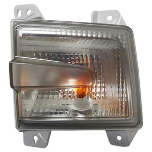 Luz de señalización lateral del pasajero derecho para Honda Ridgeline 17-20; CAPA - Imagen 1 de 1