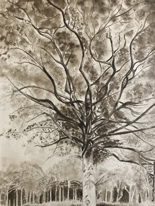 Very Nice Drawing Ink Lavis Landscape Shaft 1970 Antique Forest to Identify Art - Picture 1 of 10