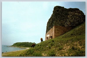Postcard Great Wall of China The Old Dragon's Head East End Cattle Grazing - Picture 1 of 2