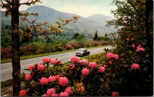 BLUE RIDGE PARKWAY Grandfather Mountain NORTH CAROLINA NC Postcard - Picture 1 of 2