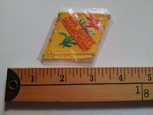 RARE 70S GIRL GUIDES SCOUTS SASKATCHEWAN CANADA PATCH CREST - Picture 1 of 1