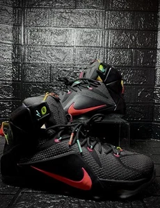 2014 Nike LeBron (12)XII Data (684593-068)Basketball Sneakers Sz M/13 - Picture 1 of 8