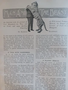 Bear Tiger Lion Wild Animal Taming Training Carl Hagenbeck Rare Old Article 1902 - Picture 1 of 5