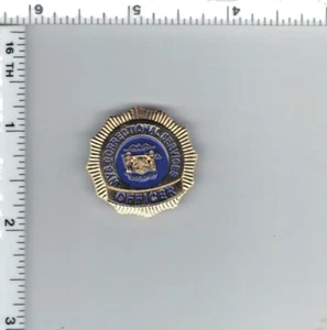 New York State Department of Correctional Services  (DOCS)  Officer  Mini Pin - Picture 1 of 2