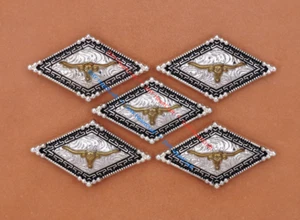 6 PIEZAS CONCHOS DE CUERO ARTESANAL DE CUERNO LARGO WESTERN DE ORO VAQUERO LARGO TORO 1-3/8" tornillo trasero - Imagen 1 de 10