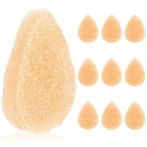 Facial Sponge for Daily Cleansing and Gentle Exfoliating, 10 Pack - Made in USA - Picture 1 of 7