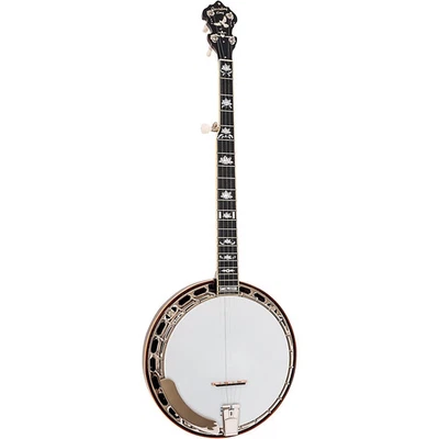 Recording King Carl Jackson Lonesome Dove Resonator Banjo Tobacco Sunburst Foto 1 de 4