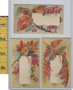 Victorian Card, 1890's, Flowers, Fall Greetings Cards (A5) - Picture 1 of 1